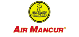 Air Mancur