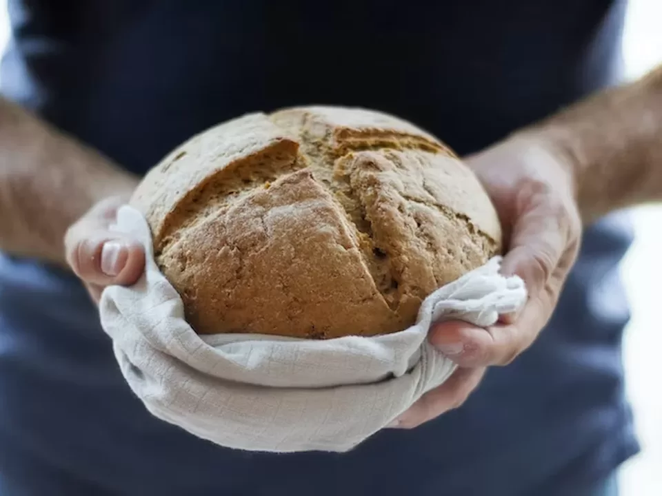 Cara Menggunakan Proofer Roti