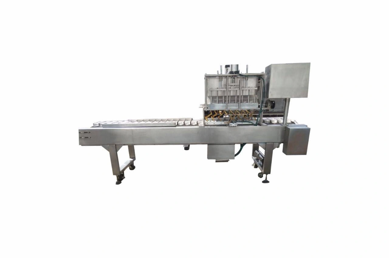 DWZ 16 Automatic Filling Machine