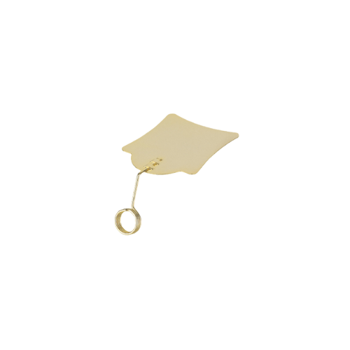 SN8618 TAG HOLDER