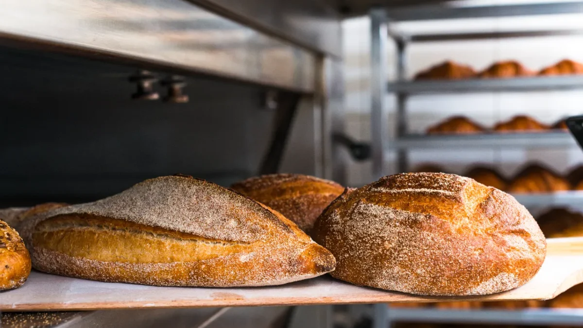 oven untuk bakery