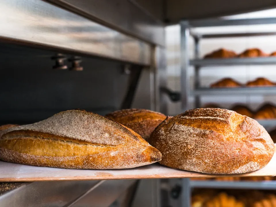 oven untuk bakery